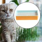  выращивание рассады tray нет земля вид прорастание tray рассада .. для голубой 