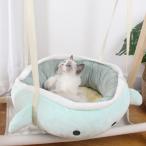  кошка для гамак кошка домашнее животное гамак .. кошка bed bed окно игрушка установка простой солнечный свет . кошка для кошка для помещений кошка гамак окно bed 