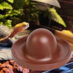  рептилии для кормление тарелка для домашних животных черепаха для кормление тарелка лягушка краб хамелеон для Brown 