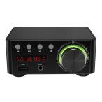  мощный Mini 100WBluetooth5.0 усилитель мощности Hi-Fi2.0 канал черный 