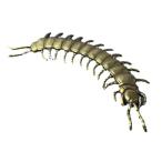 mkate изображение медь портативный коллекция Uni -k. маленький подарок передвижной joint симуляция .. стол балка книжный шкаф отель 