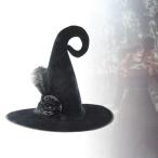  Halloween шляпа костюмированная игра для взрослых Wizard party. сувенир Hori te- fancy платье 