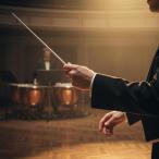 木製指揮棒、音楽バンド用指揮棒、楽器部品、収納ケース付き、コンサートや合唱の者向け多用途