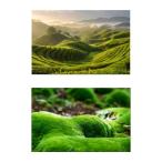  косметика капот магазин. цветок. стиль D. фотография фон на фото фон d