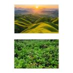  фотография фотосъемка. фон на фото фон косметика капот магазин цветок стиль e