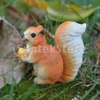  белка. украшение бонсай DIY изделие прикладного искусства наружный закрытый сад оборудование орнамент все 2 модель 