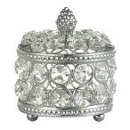 большой Vintage кейс красота box.. ювелирные изделия косметика ногти серебряный место хранения box . структура. 