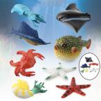 5つのプラスチック海洋動物モデルSofty早期教育教育玩具のパック
