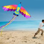  Phoenix кайт ... . простой девочка . мужчина . взрослый поэтому. огромный . красочный . птица. кайт пляж поездка park семья. наружный игра -30M -тактный кольцо . отделка 