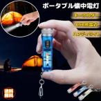 懐中電灯 ミニ懐中電灯 キーホルダー USB充電式ライト 小型 軽量 ハンディライト 高輝度LED 持ち運び アウトドア キャンプ 防災対策