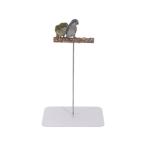  bird pa-chi подставка bird Play подставка портативный практическое использование тренировка игрушка настольный bird Play Jim подставка Rav bird для попугай развлечение место 