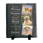  собака. память камень, временный . маркер (габарит) . земля оборудование орнамент память ..