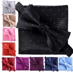 蝶ネクタイ ボウタイ グログラン ドット ポケットチーフ ハンカチ付き ブラック DM便送料無料