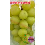  очень популярный!! Nagano префектура производство виноград [ автомобиль in мускат ] для бытового использования примерно 1.1kg