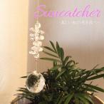  верх шар примерно 20mm свет. исцеление прекрасный радуга. свет . выпускает "ловец солнца" натуральный камень Power Stone аксессуары интерьер 