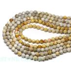 石流通センターカットビーズ化石珊瑚...