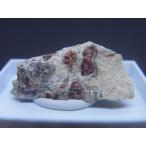 クロム透輝石中の苦礬柘榴石（パイロープガーネット）