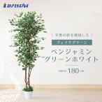 フェイクグリーン 観葉植物 フェイク 人工観葉植物_ベンジャミングリーン ホワイト H180cm_61-752-67-2_8724-4306