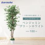 フェイクグリーン 観葉植物 フェイ