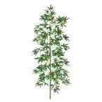 七夕 笹 フェイクグリーン 装飾_デラックスバンブーツリー 220cm_55-2-2-4_8725-1071