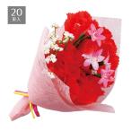 造花 カーネーション 観葉植物 アレンジメント_【20束入り】母の日ブーケ_43-53-1-1_8186-320