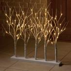ショッピングイルミネーション イルミネーション 屋外 led おしゃれ_LED白樺ブランチライト 高さ72cm 1台_58-80-7-1_8800-8478