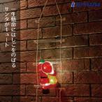  illumination наружный led модный _LED crystal светящиеся фигуры лестница солнечный ta1 шт. _58-89-3-1_8800-8496