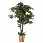  искусственная зелень декоративное растение поддельный человеческий труд декоративное растение _ искусственная зелень Benjamin двойной 110cm 1 горшок _61-173-4-3_8724-4324