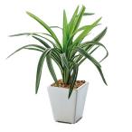  искусственная зелень декоративное растение поддельный человеческий труд декоративное растение _ Mini зеленый pot ( искусственная зелень ) драцена 1 шт _61-174-9-3_8798-5177