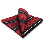 SHLAX&amp;WING красный peiz Lee узор шелк pocket square мужской 