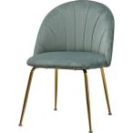 パーソナルチェア 約幅500mm ミントグリーン ベロア スチールパイプ マーメイドチェア 組立品 リビング ダイニング 在宅ワーク〔代引不可〕