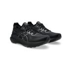 アシックス ASICS GEL-KAYANO 31 ランニングシューズ メンズ メンズ 1011B868.001