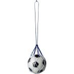 moru тонн molten BALL NET BLU/WHT футбольный мяч сеть BNDB BLU/WHT