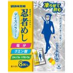 ソノタ OTHER 忍者めしアイススラリー　すっきり柑橘味 フィットネス 健康 ドリンク - 60679
