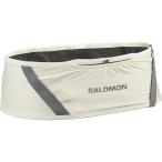  Salomon SALOMON PULSE BELT бег сумка ICICLE/CASTELROCK/ LC2711100
