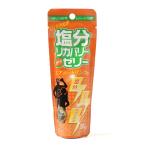 ソノタ OTHER 塩分リカバリースティックゼリーエナジードリンク味 フィットネス 健康 ゼリー 80g 1054936