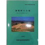 .. блок культура состояние исследование комментарий документ no. 16 сборник |[.. блок. старый .]|1992 год |.. блок образование комитет выпуск 