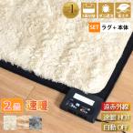 ホットカーペット 遠赤外線タイプ 省エネ 速暖 2畳 カバー付き シャギーラグ 約190×190cm 父の日 長毛 毛足35mm 多機能搭載 メーカー1年保証