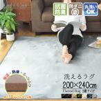 ショッピング下敷き ラグ 3畳 下敷きラグ セット ラグマット 厚手 約200×240cm おしゃれ 洗える ライトキャスト ラグplus+ ラグプラスセット フランネル 北欧 シンプル 滑り止め