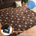 ホットカーペット セット 2畳 ラグ カバー 本体 2点セット 約185×185cm 2畳カバー付き 省エネ 3面切り替え 雪柄 ノルディック ストライプ マーシャル