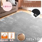 ホットカーペット 2畳 遠赤外線 カバー付き 2点セット 約176×176cm 速暖 抗菌 防臭 ダニ退治 本体 吸湿 発熱 蓄熱 多機能搭載 電気カーペット ピア