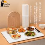  плита до конца теплый .. прекрасный тест .. еда теплоизоляция plate еда для электрический теплоизоляция tray складной еда изоляция панель капот утеплитель регулировка температуры возможно полный plate нагревание 