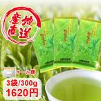 2023年 お茶 知覧茶 緑