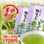 新茶 2024 お茶 知覧茶 