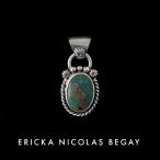 ERICKANICOLASBEGA...