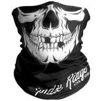Indie Ridge Skull мотоцикл маска для лица - мотоцикл лыжи сноуборд winter маска для лица 