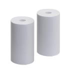 ロール紙 バッテリーテスタープリンター内蔵タイプ用 2個入り STRAIGHT/15-1531 (STRAIGHT/ストレート)
