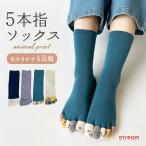 靴下 レディース 五本指ソックス セット かわいい おしゃれ 4足組 つま先 カラフル 綿混 犬 パンダ 猫 うさぎ グッズ 五本指靴下 23-25cm ゆうパケット送料無料
