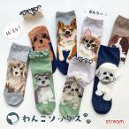 靴下 レディース 犬 柄 春夏 おしゃ�