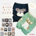 腹巻き レディース あったか ふわもこ アニマル柄 インナー 防寒 冷え取り 温活 ルームウェア シュナウザー シマエナガ パンダ ゆうパケット2点まで可